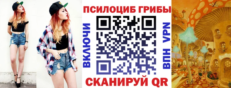 блэк спрут ссылка  Томари  Псилоцибиновые грибы ЛСД 
